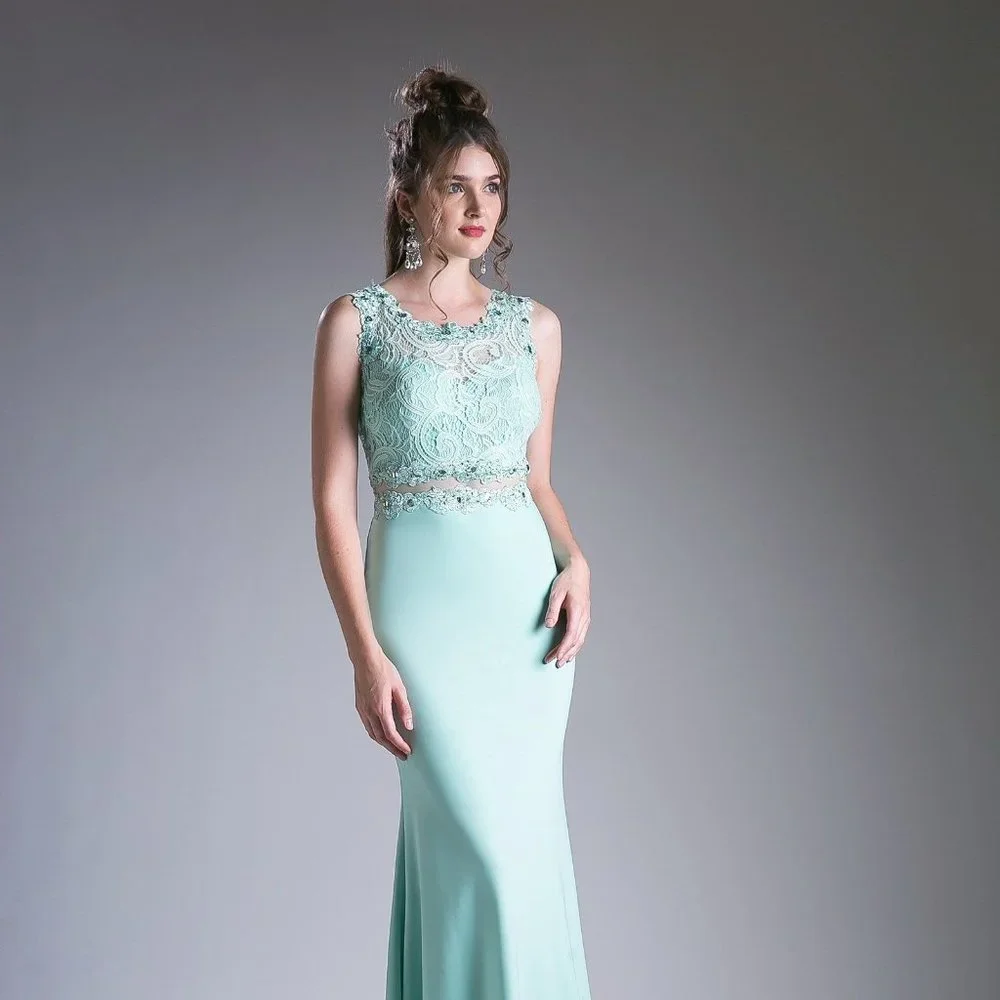 NEW LONG SLEEVELESS SHEATH DRESS WITH ZIPPER BACK EMBROIDERED WITH LACE CD CF115